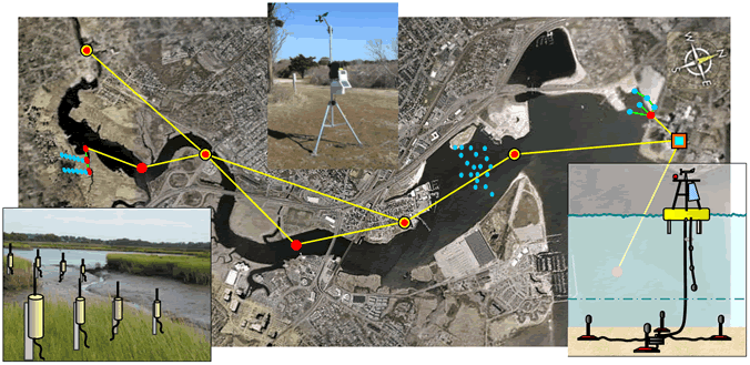 Neponset River Sensor Network